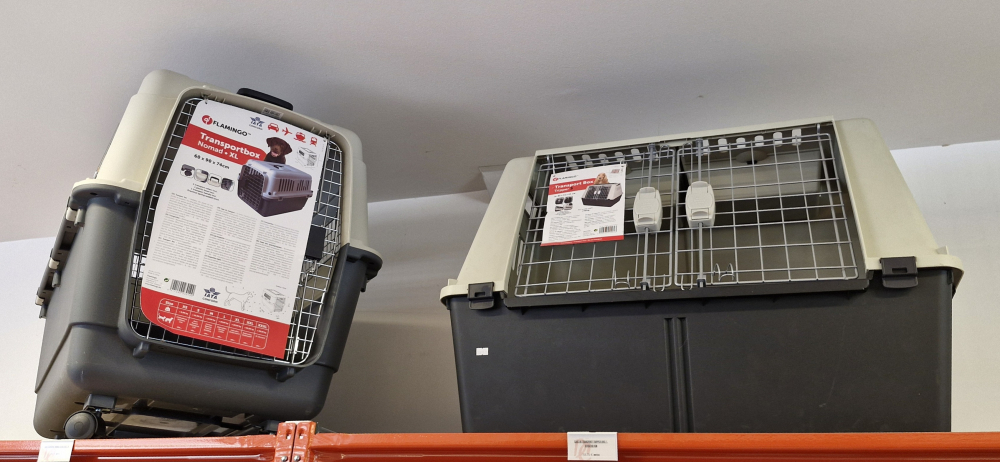 Accessoires pour chiens