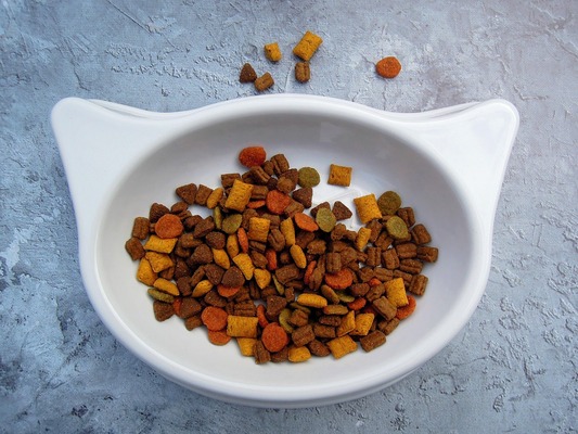 Alimentation pour chats, Vienne, Doggy Croq
