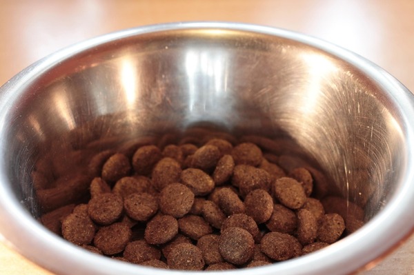 Alimentation pour chevaux, Vienne, Doggy Croq