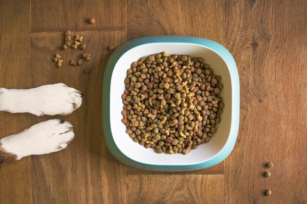Alimentation pour chiens, Vienne, Doggy Croq