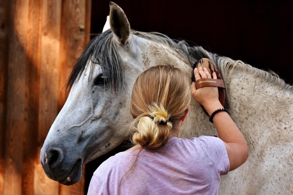 Santé et hygiène pour chevaux, Vienne, Doggy Croq