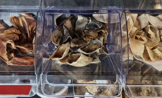 Découvrez notre magasin, Vienne, Doggy Croq