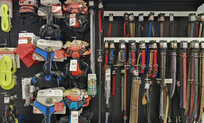 Découvrez notre magasin, Vienne, Doggy Croq