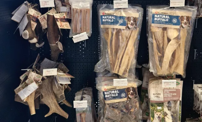 Découvrez notre magasin, Vienne, Doggy Croq