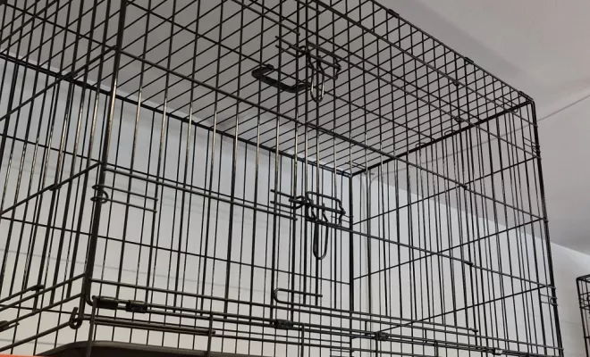 Découvrez notre magasin, Vienne, Doggy Croq