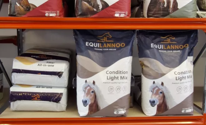 Découvrez notre magasin, Vienne, Doggy Croq